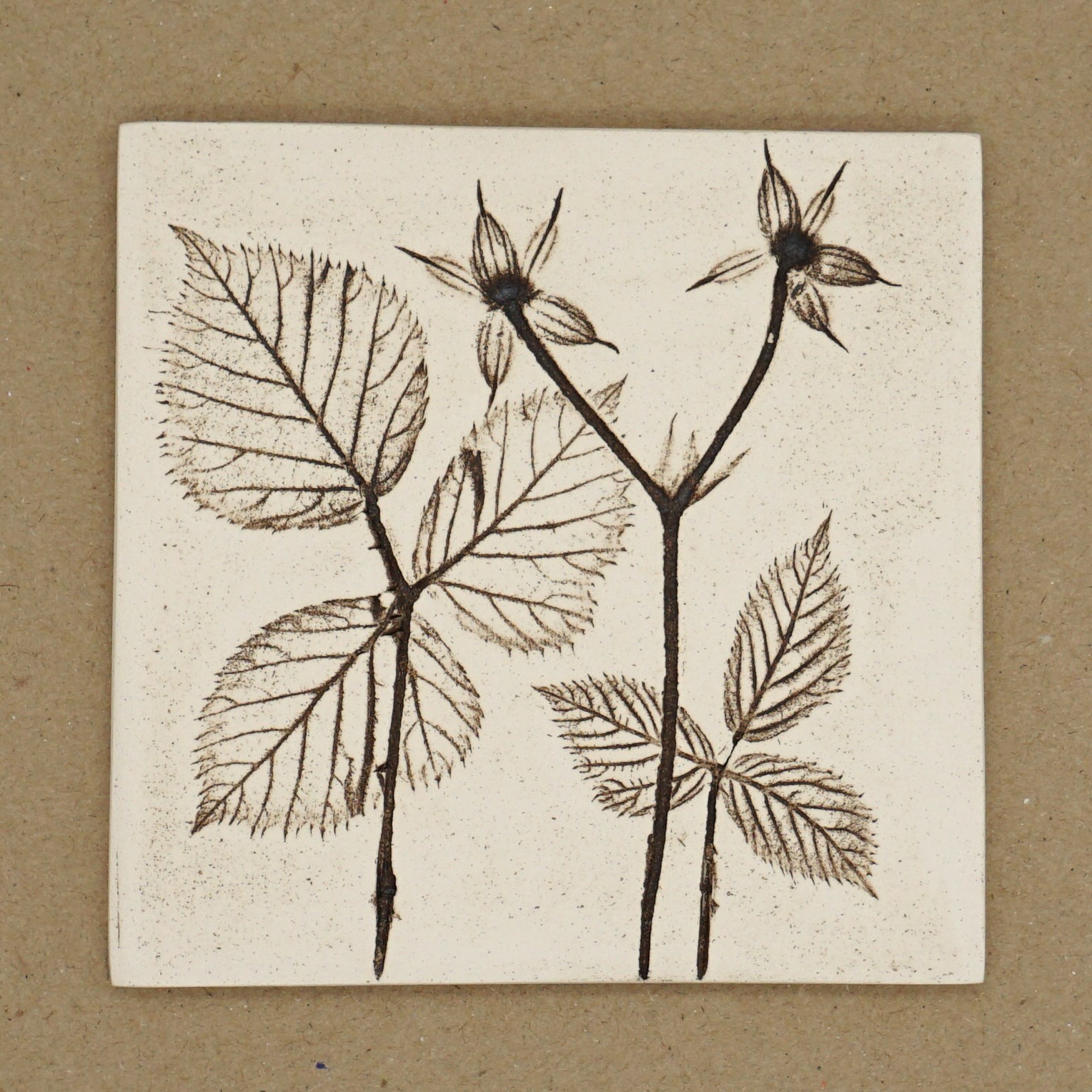 10cm Square Botanical Tile Natural