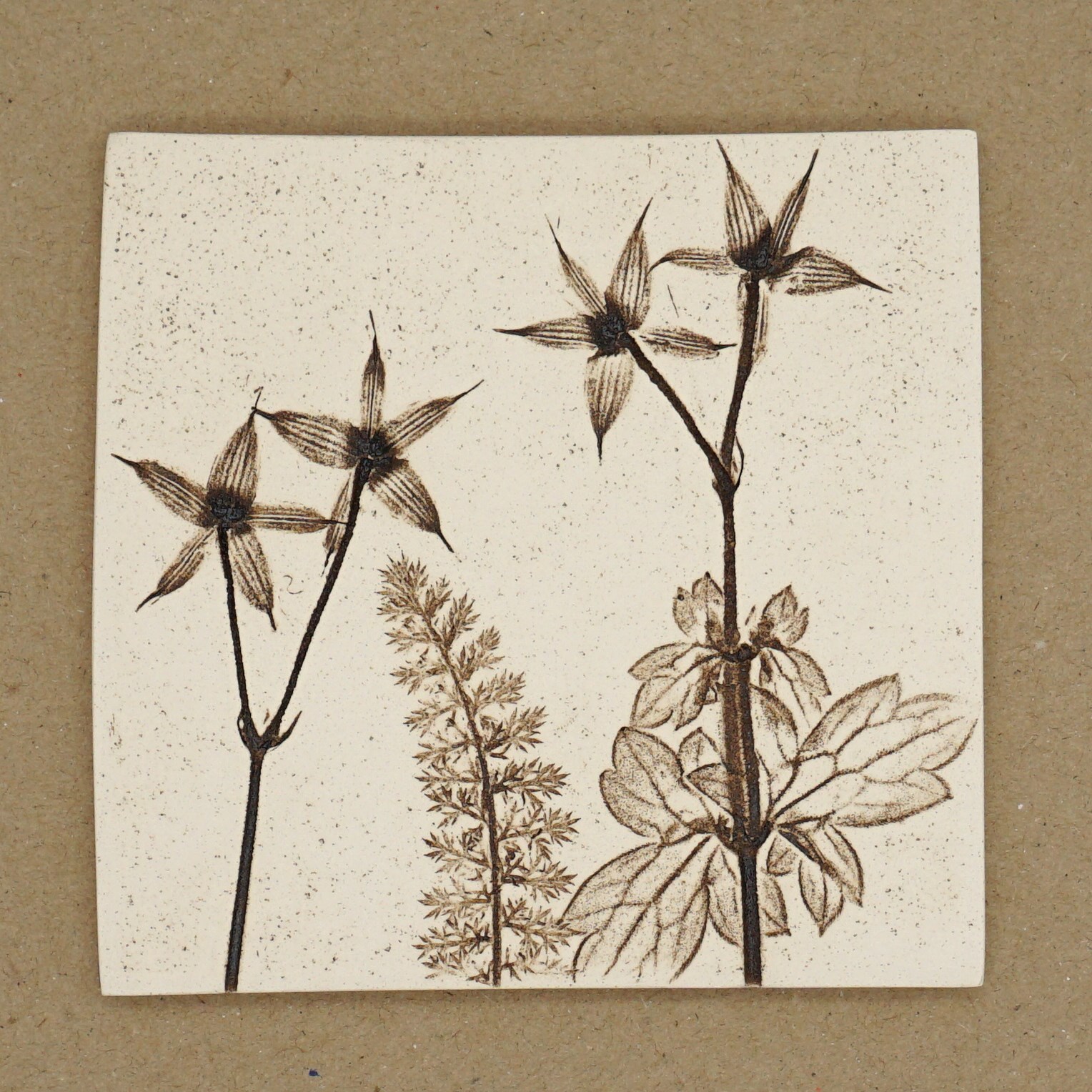 10cm Square Botanical Tile Natural